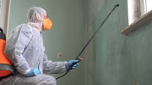 Why You Should Choose Our Mold Remediation Services in Diamond, IL